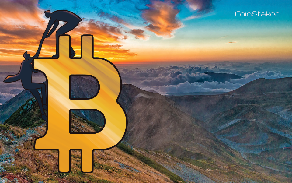 Deloitte Warns Businesses ‘Risk Falling Behind’ if Don’t Consider Blockchain Technology |