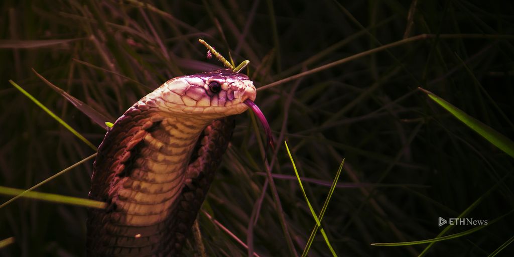 A Snake In The Grass? The Controversy Over Cøbra And Bitcoin.org
