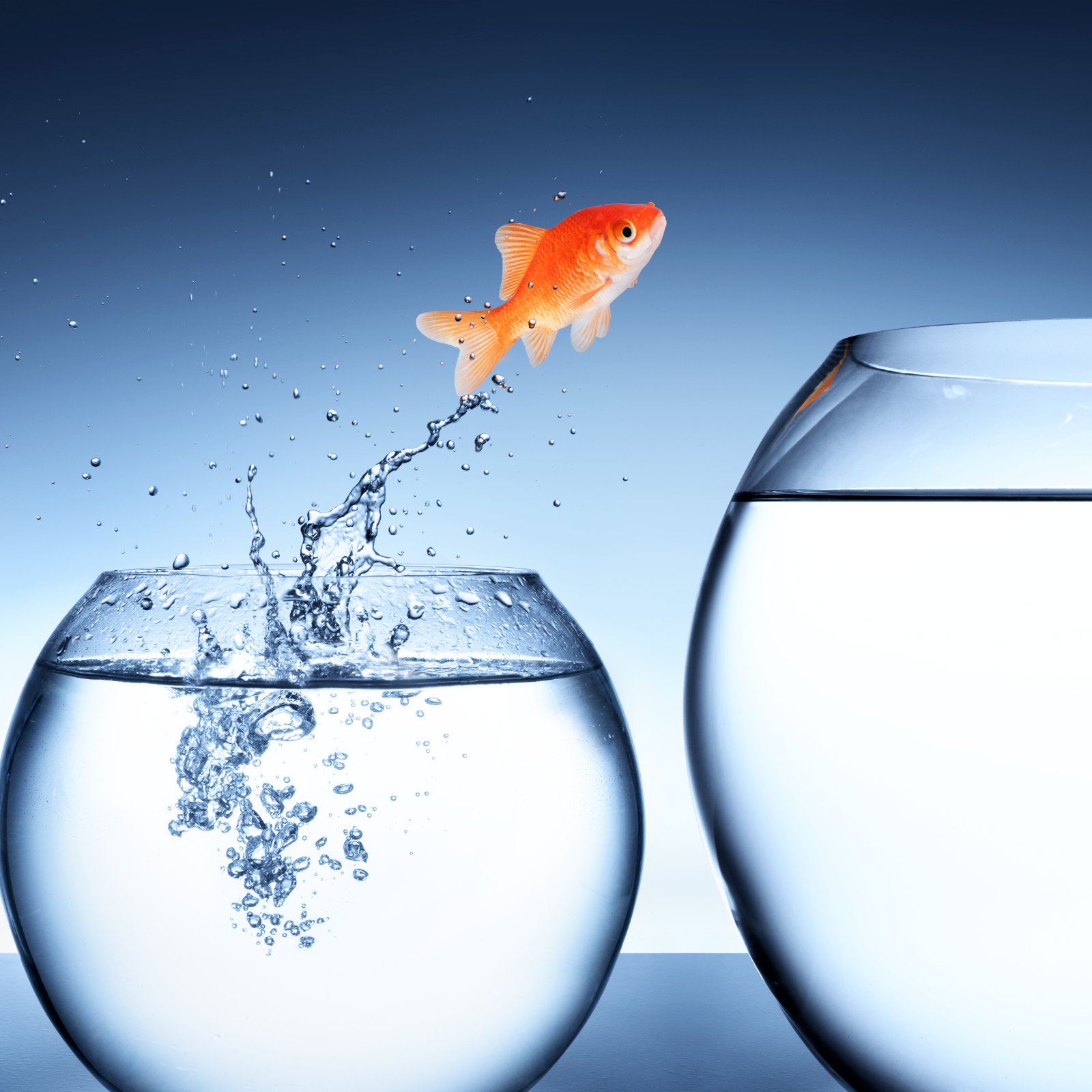 Japan’s Internet Giant GMO Unveils New Crypto Priorities, Exchange Profits Up 7-Fold