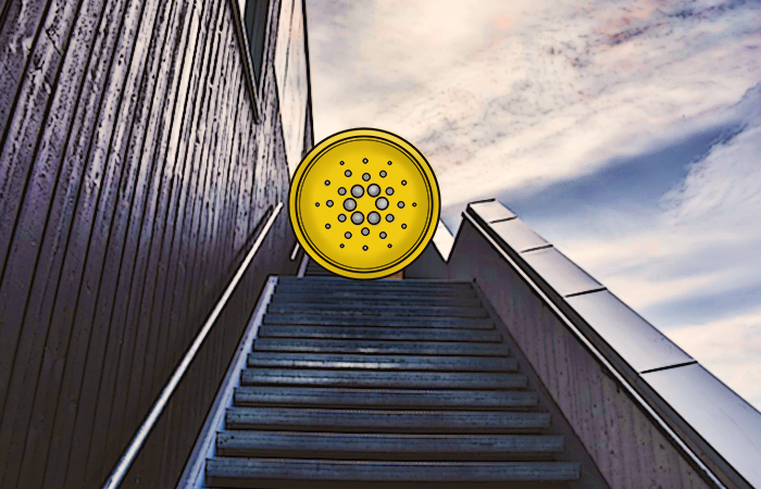 Long Awaited Update Hits The Network |