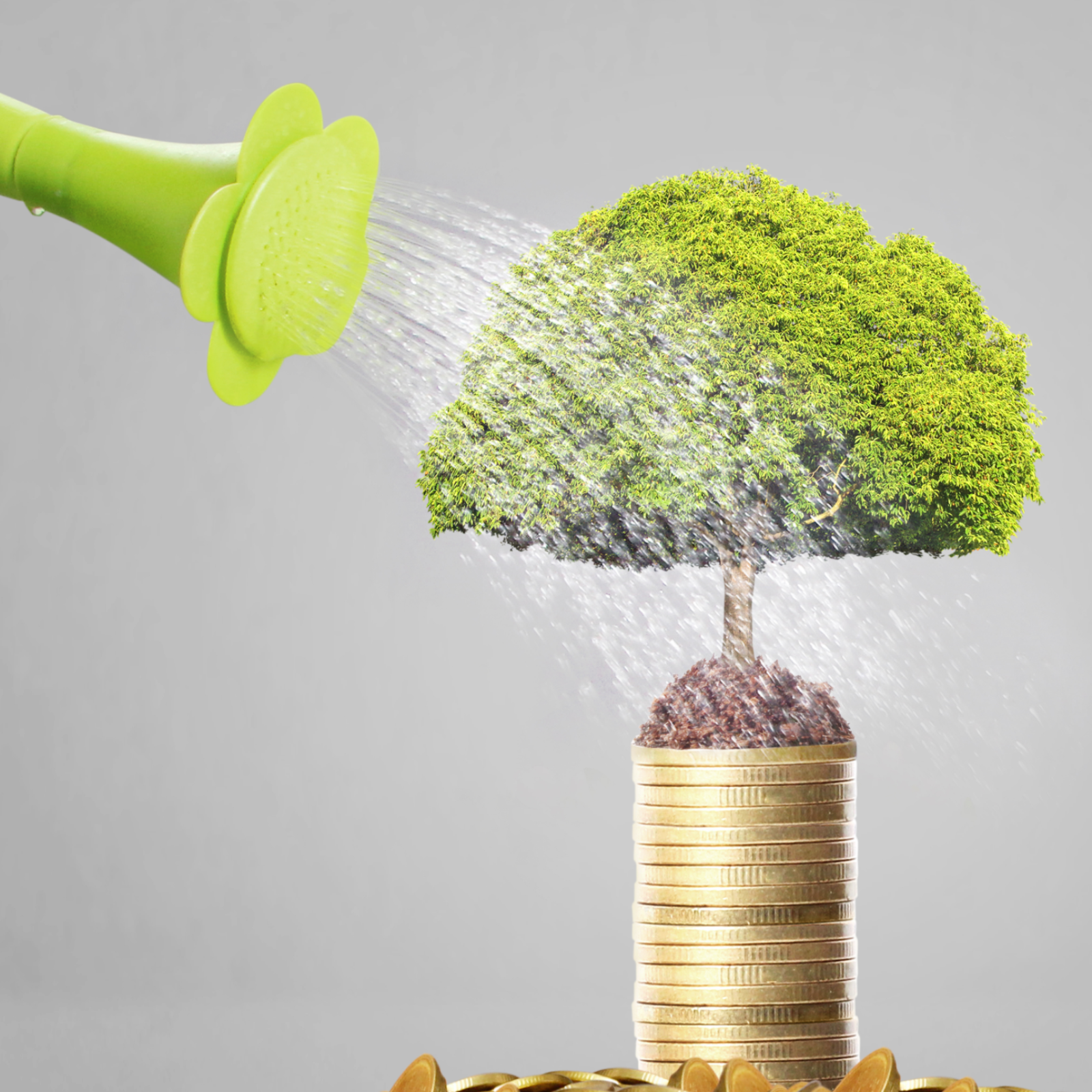 Indian State Working to Help Cryptocurrency Businesses Grow
