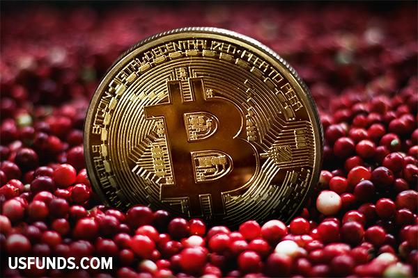 What Thanksgiving Cranberries And Bitcoin Have In Common