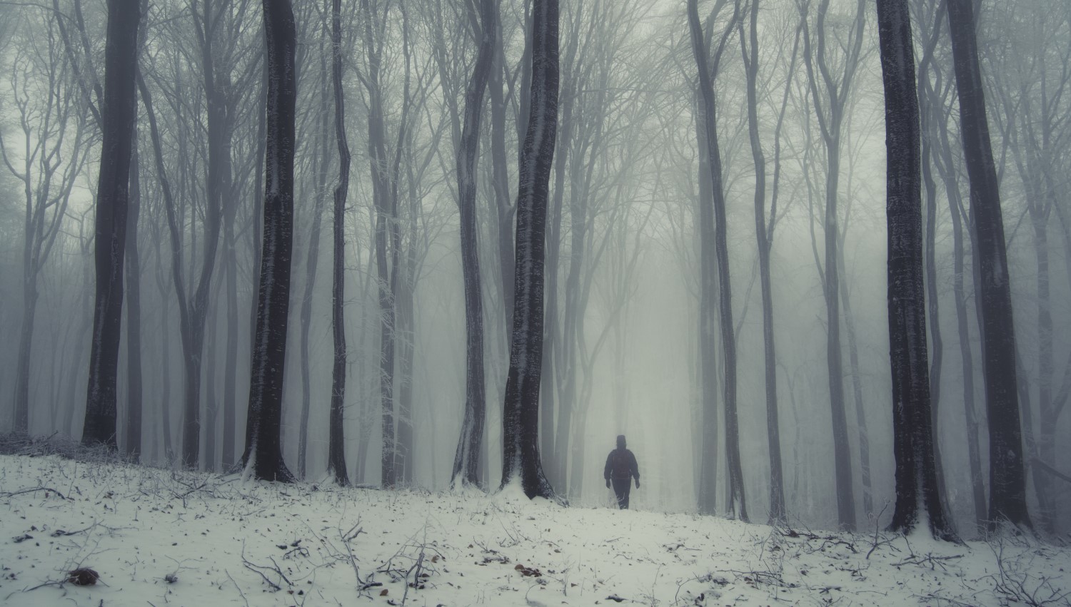 The Crypto Winter Is Here and We Only Have Ourselves to Blame