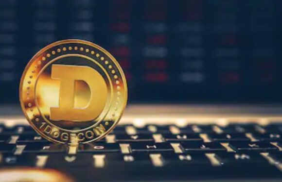 DOGE Price Spikes By 80% To Reach $0.13 And Becomes Tenth Largest Crypto By Market Value