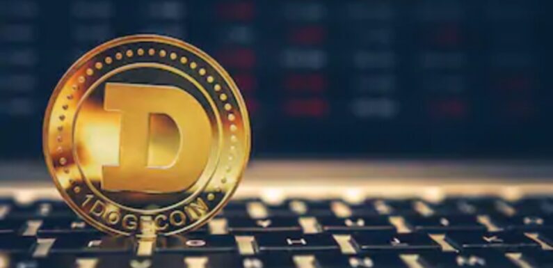 Space X CEO Elon Musk Once Again Pushes Price Of DOGE