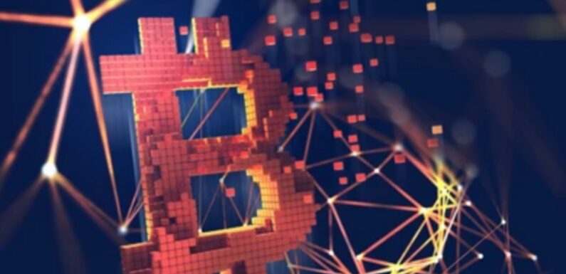 Bitfarms Expands Its Workforce Offering 48,000 New Miner Positions