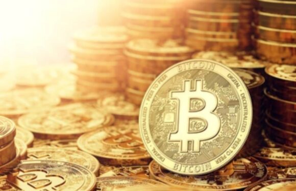 Court In Spain Orders Probe into Bittrex User’s Bitcoins Theft