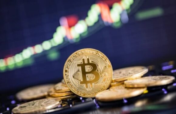 BTC Net Loss Hit An All-Time Low For The First Time Since Last Year