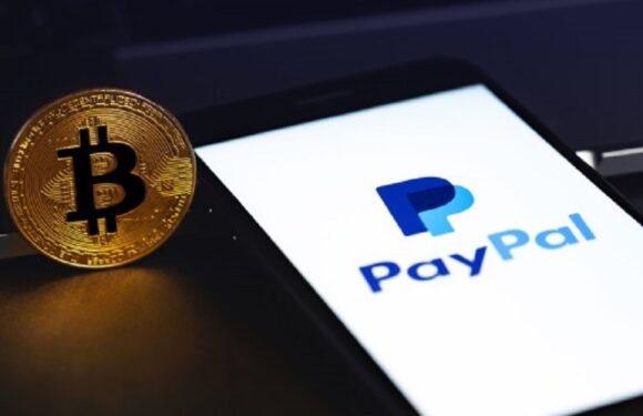 PayPal dice que los usuarios que compran criptomonedas tienen más probabilidades de volver