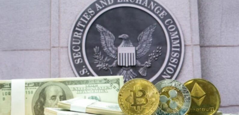 Ripple’s CEO Argues Against SEC’s Lawsuit