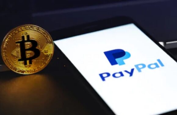 PayPal’s Purchase Of Curv Is Bosting The Fortunes Of CRV