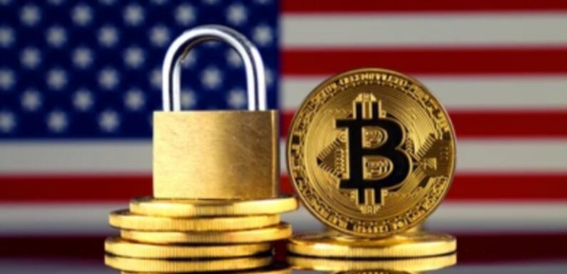 Ark Invest CEO Warn Bitcoin Investors About IRS Tax Policies