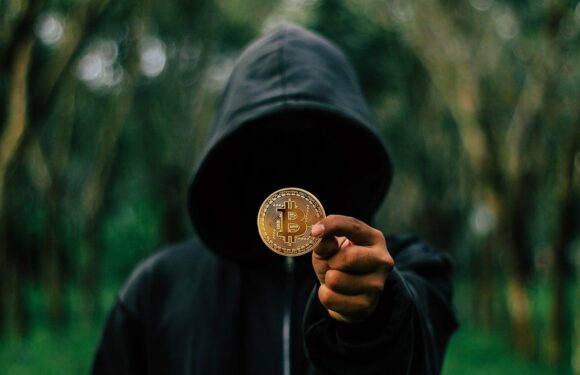 Two Ransomware Attacks Lead American Senators To Target Digital Assets