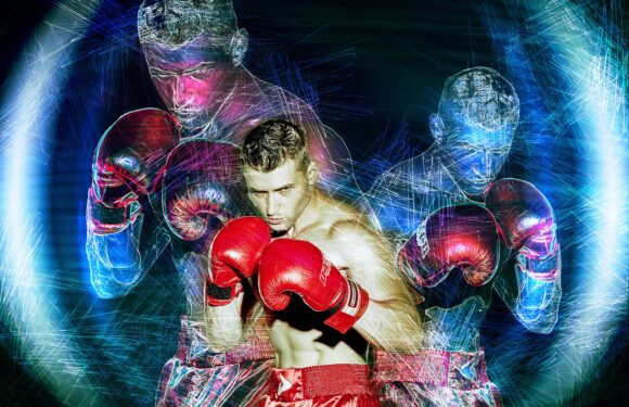 Ultimate Fighting Championship (UFC) Is Going To Introduce Its Fan Token