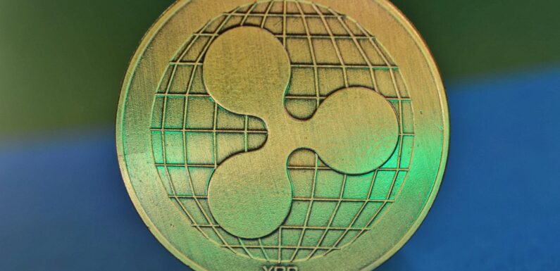 Mike Novogratz Condemns XRP Army Says Sometimes It Doesn’t Look At the Real Truth