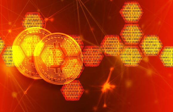 Crypto Trading Do’s and Don’ts you Should Know