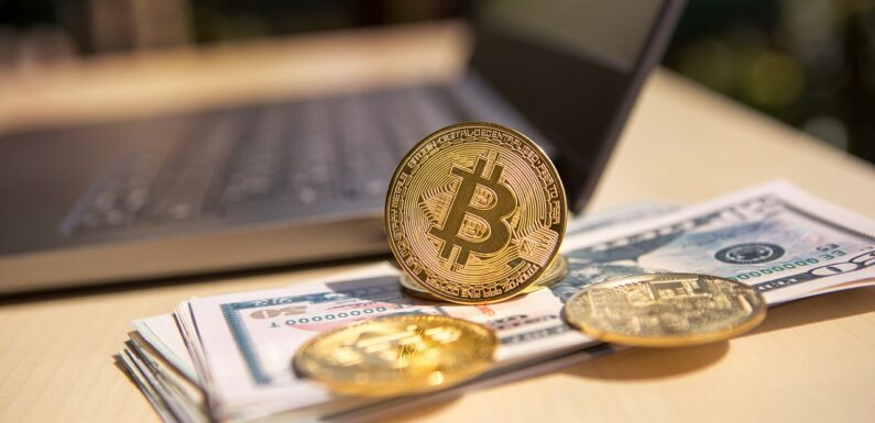 A panel of Crypto Experts Expects Bitcoin’s Projected Value for 2025 to be US$318,417