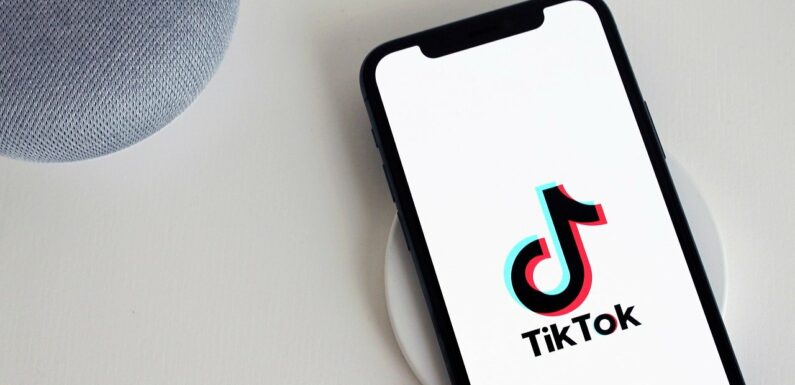 TikTok Permanently Suspends Crypto & Financial Products’ Promotions & Ads by Imposing a Ban