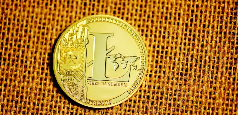 Will Litecoin (LTC) Rally Back to ATH? – Price Prediction