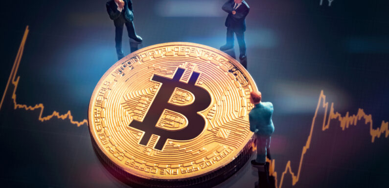 Community Expects Bitcoin to Earn “Double Top” Similar to 2013’s