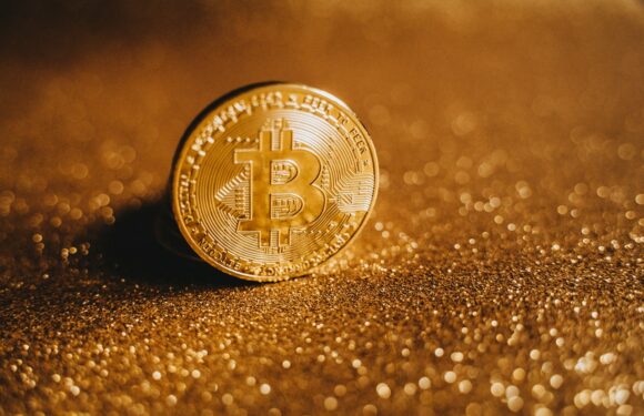 Reportedly El Salvador Exempted Bitcoin Investors from Paying Taxes