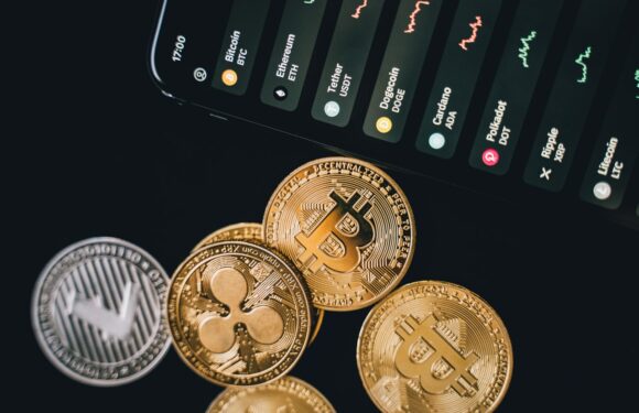 Looking Back, All Cryptocurrencies Have Been Struggling