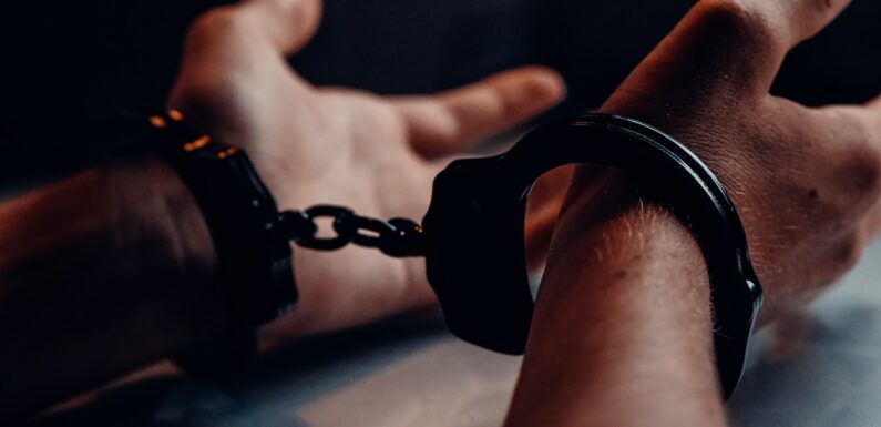 Top Finiko Executive Arrested in Russia