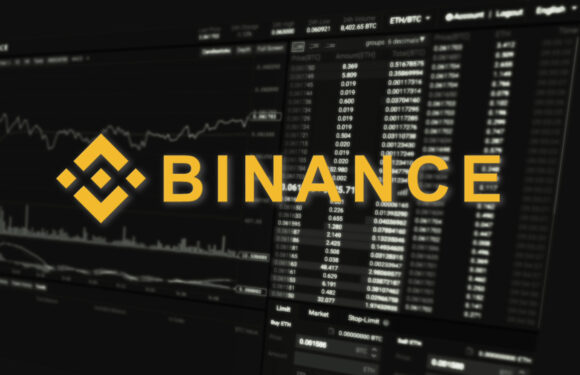 Binance NFT Sale Generates $440K for Russian State Hermitage