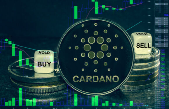 New Stablecoin to be introduced in Decentralized Finance Sector by Cardano