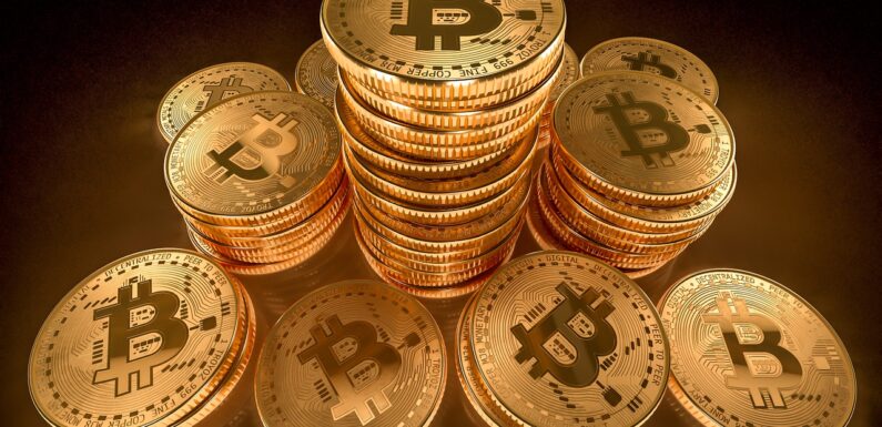 Will Bitcoin Hype Ever Die Down in Future?