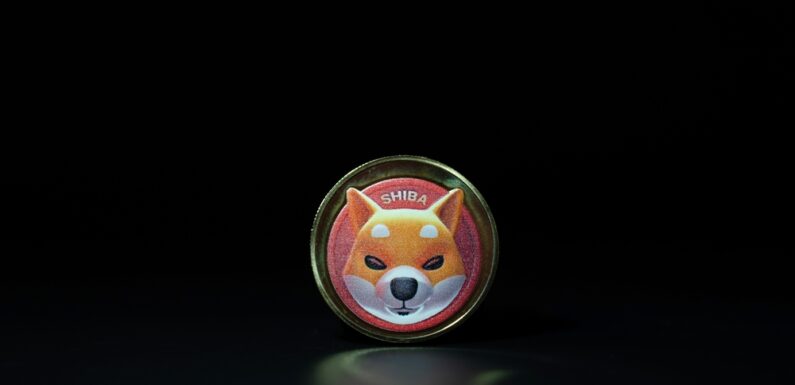 SHIB Eyes 20% Upswing If Bulls Overpower This Last Obstacle