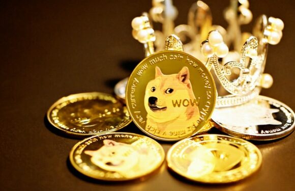 Dogecoin (DOGE) in 2021 November – Price Prediction