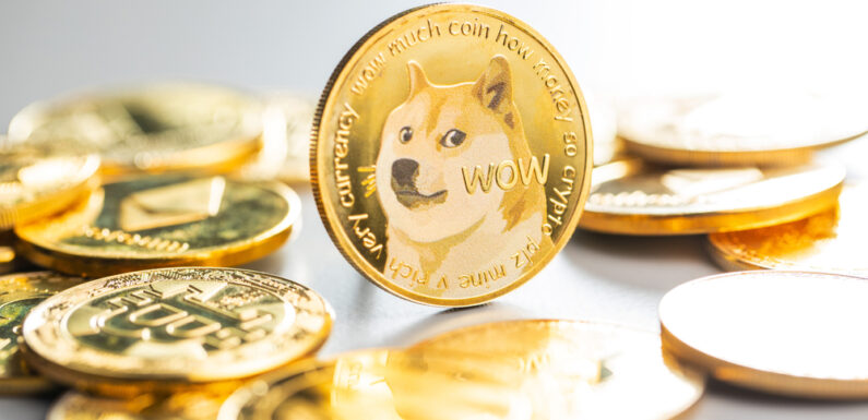 Dogecoin Might See a 16% Drop before Next Upsurge