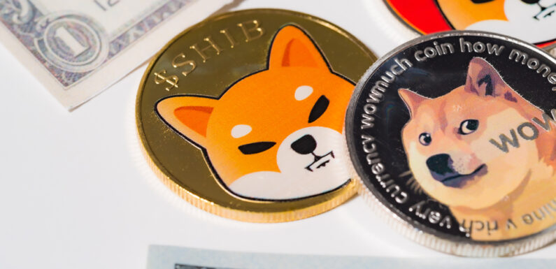 Dogecoin and Shiba Inu are Enjoying Increased Popularity