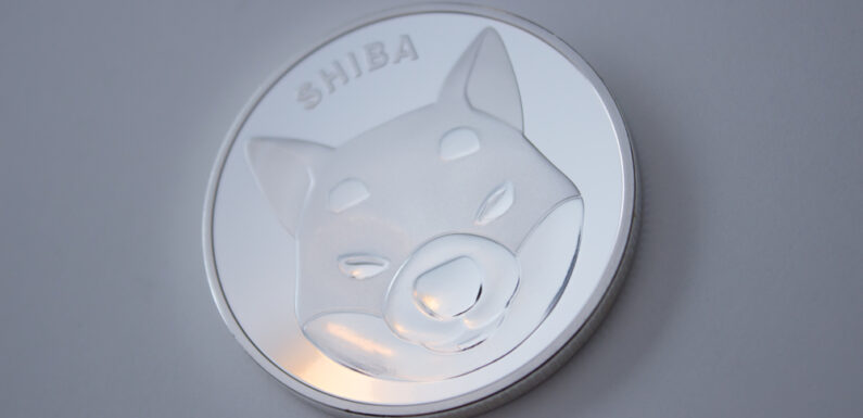 Shiba Inu (SHIB) Continues to Surge – Price Analysis